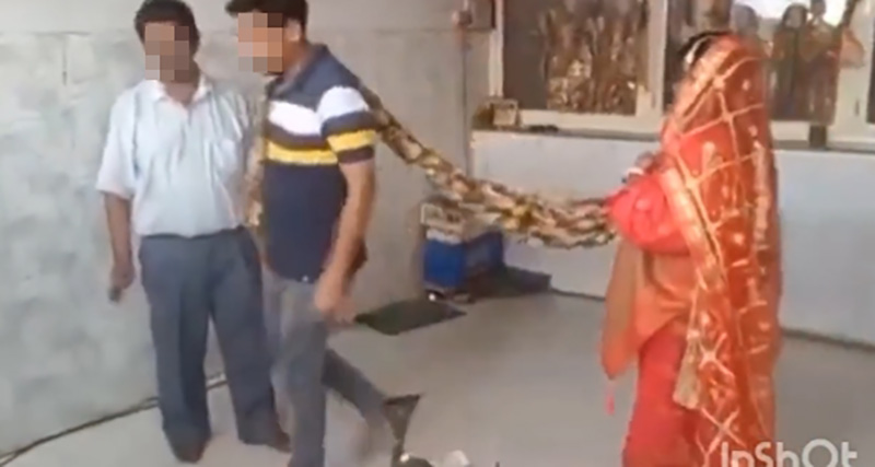 เจ้าบ่าวหนีงานแต่งงาน เจ้าสาวไล่ตาม 20 กม ลากกลับมาได้ เจ้าบ่าวหนีงานแต่งงาน เจ้าสาวไล่ตาม 20 กม ลากกลับมาได้