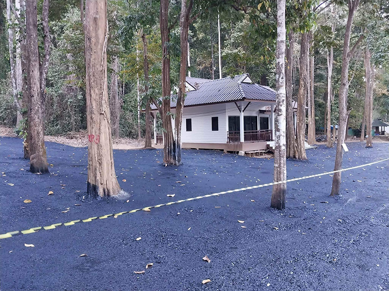 นักเขียนดัง ฟาดเขตรักษาพันธุ์สัตว์ป่า ราดยางมะตอยทำลายต้นไม้ นักเขียนดัง ฟาดเขตรักษาพันธุ์สัตว์ป่า ราดยางมะตอยทำลายต้นไม้