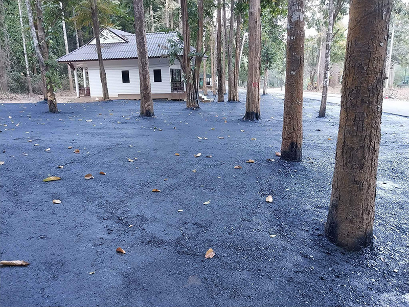 นักเขียนดัง ฟาดเขตรักษาพันธุ์สัตว์ป่า ราดยางมะตอยทำลายต้นไม้ นักเขียนดัง ฟาดเขตรักษาพันธุ์สัตว์ป่า ราดยางมะตอยทำลายต้นไม้