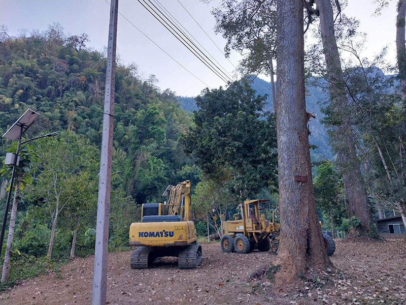 นักเขียนดัง ฟาดเขตรักษาพันธุ์สัตว์ป่า ราดยางมะตอยทำลายต้นไม้ นักเขียนดัง ฟาดเขตรักษาพันธุ์สัตว์ป่า ราดยางมะตอยทำลายต้นไม้