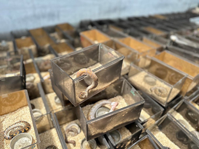 อธิบายปรากกฏการณ์ งูกัดตัวเองตายหมู่ อธิบายปรากกฏการณ์ งูกัดตัวเองตายหมู่