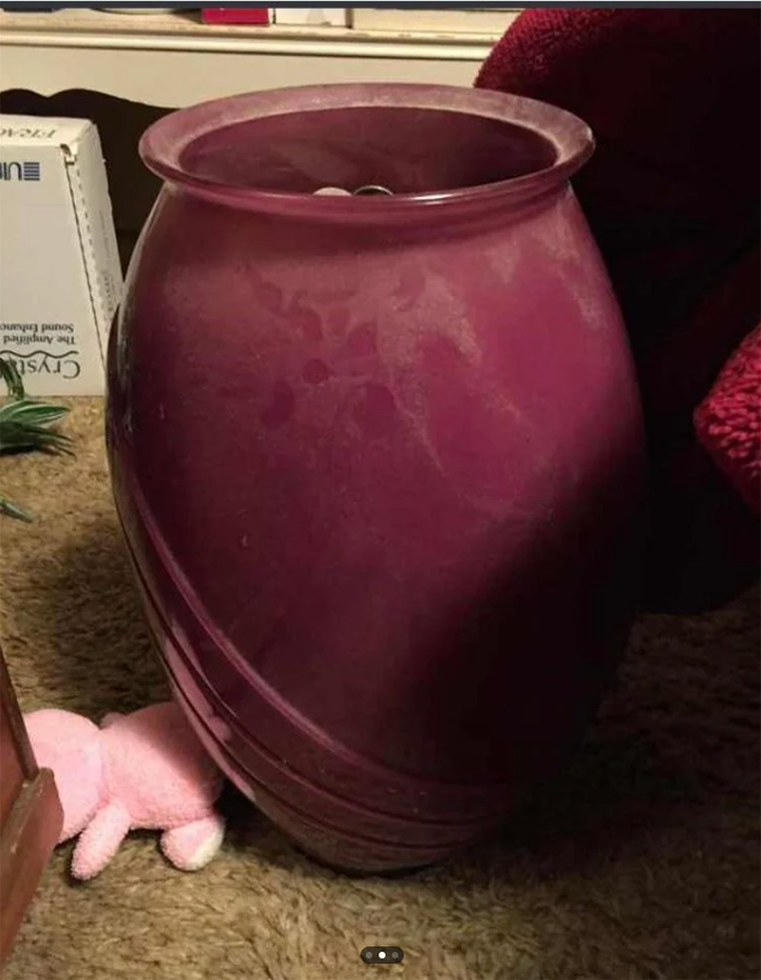 หนุ่มอวดมรดกสุดเซอร์ไพรส์ หนุ่มอวดมรดกสุดเซอร์ไพรส์