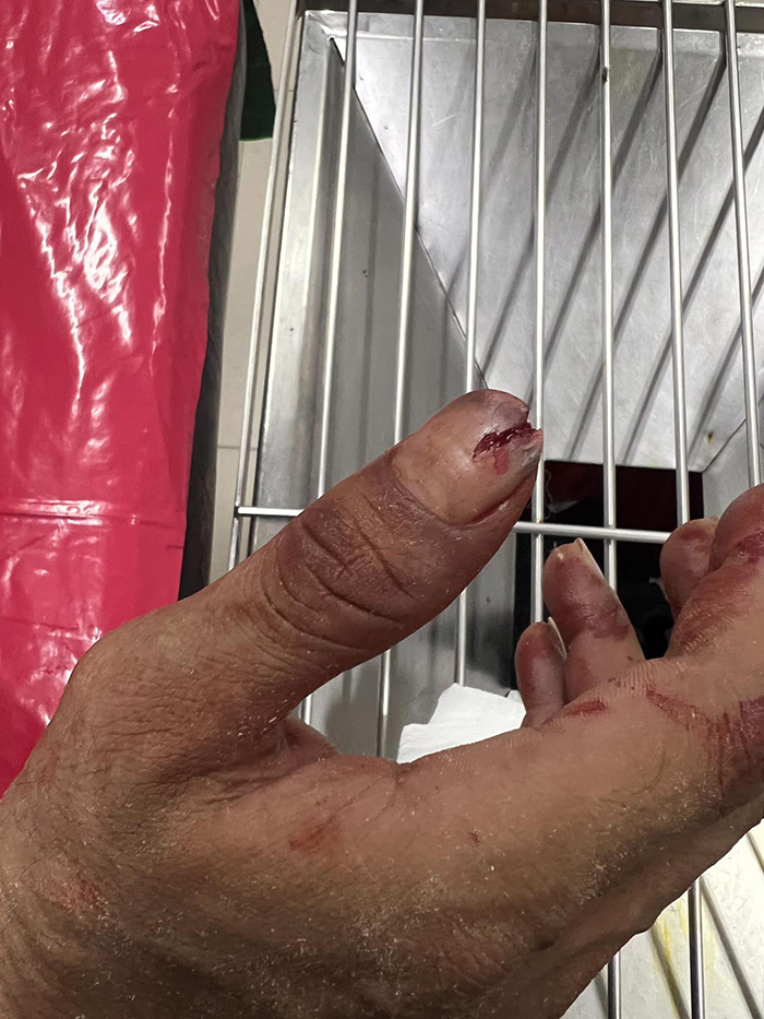 ใบเลื่อยเครื่องเจียรตัดเข้านิ้ว ใบเลื่อยเครื่องเจียรตัดเข้านิ้ว