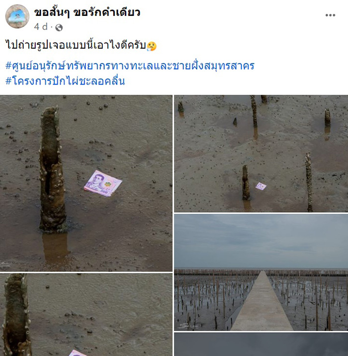 เจอแบงก์ 500 บนป่าชายเลน เจอแบงก์ 500 บนป่าชายเลน