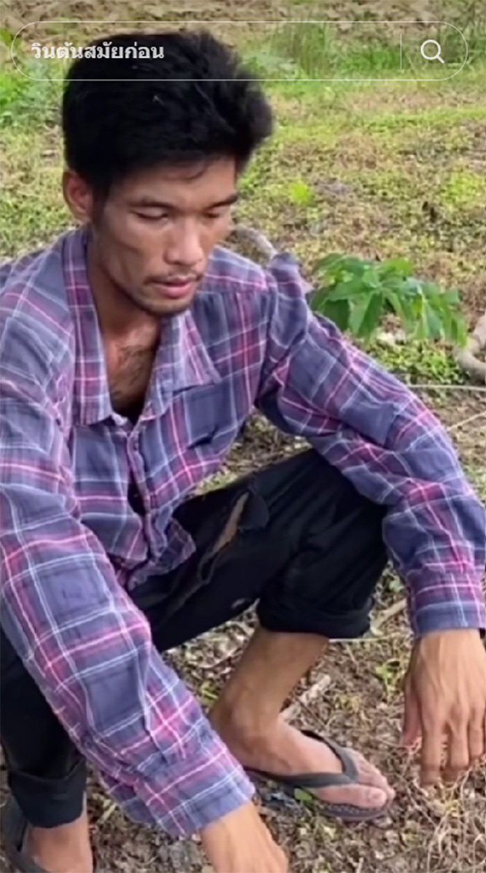 วินต้น TIkTok วินต้น TIkTok