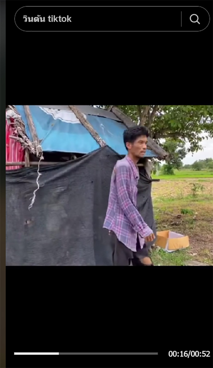 วินต้น TIkTok วินต้น TIkTok