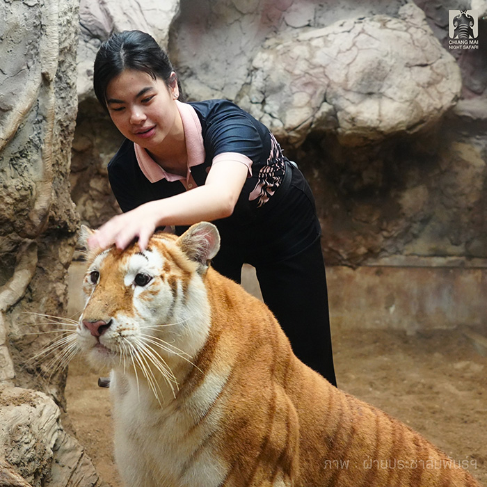 เปิดวาร์ป โบว์ พัชรีย์ พี่เลี้ยงน้องเอวา เปิดวาร์ป โบว์ พัชรีย์ พี่เลี้ยงน้องเอวา