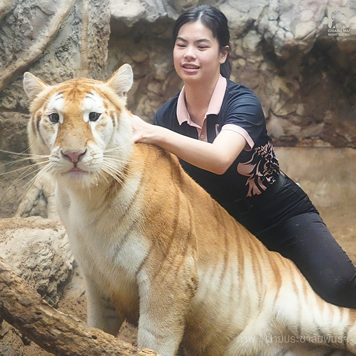 เปิดวาร์ป โบว์ พัชรีย์ พี่เลี้ยงน้องเอวา เปิดวาร์ป โบว์ พัชรีย์ พี่เลี้ยงน้องเอวา