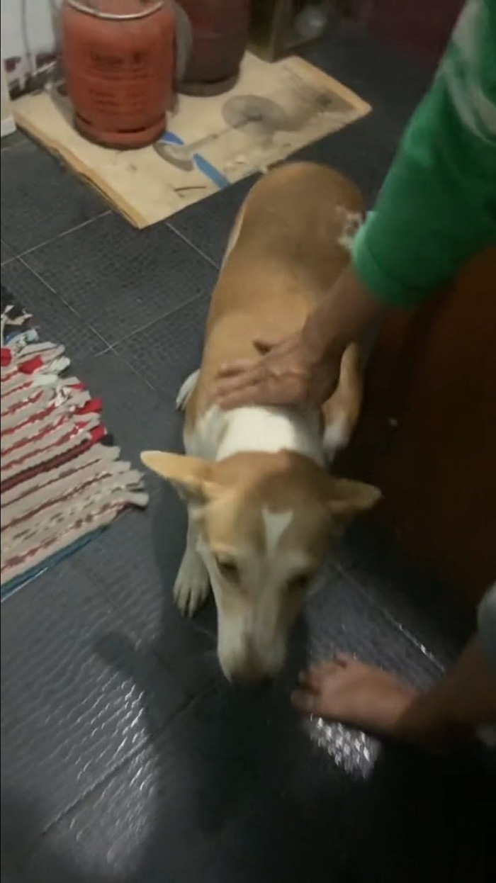 แขกไม่ได้รับเชิญโผล่ แขกไม่ได้รับเชิญโผล่