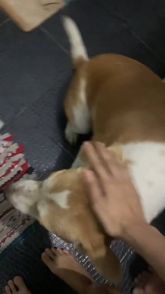 แขกไม่ได้รับเชิญโผล่ แขกไม่ได้รับเชิญโผล่