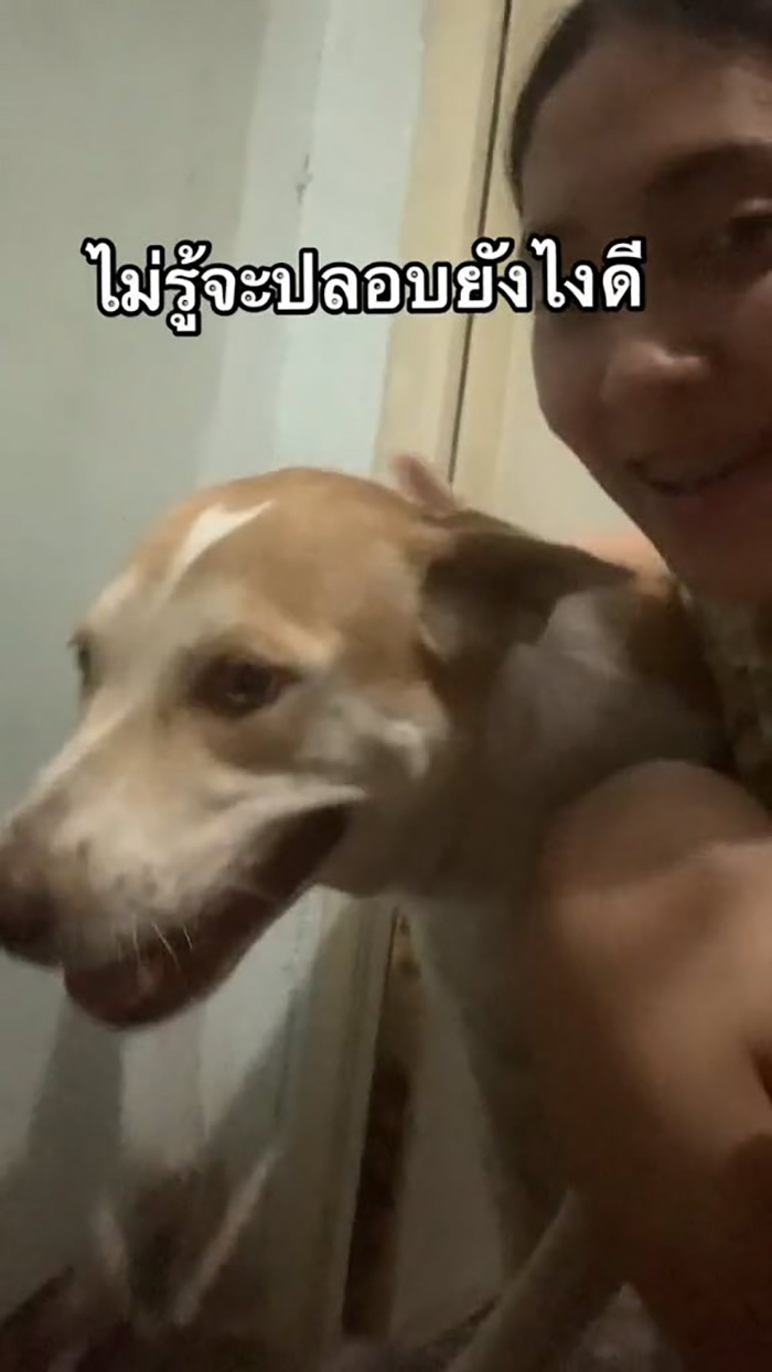 แขกไม่ได้รับเชิญโผล่ แขกไม่ได้รับเชิญโผล่