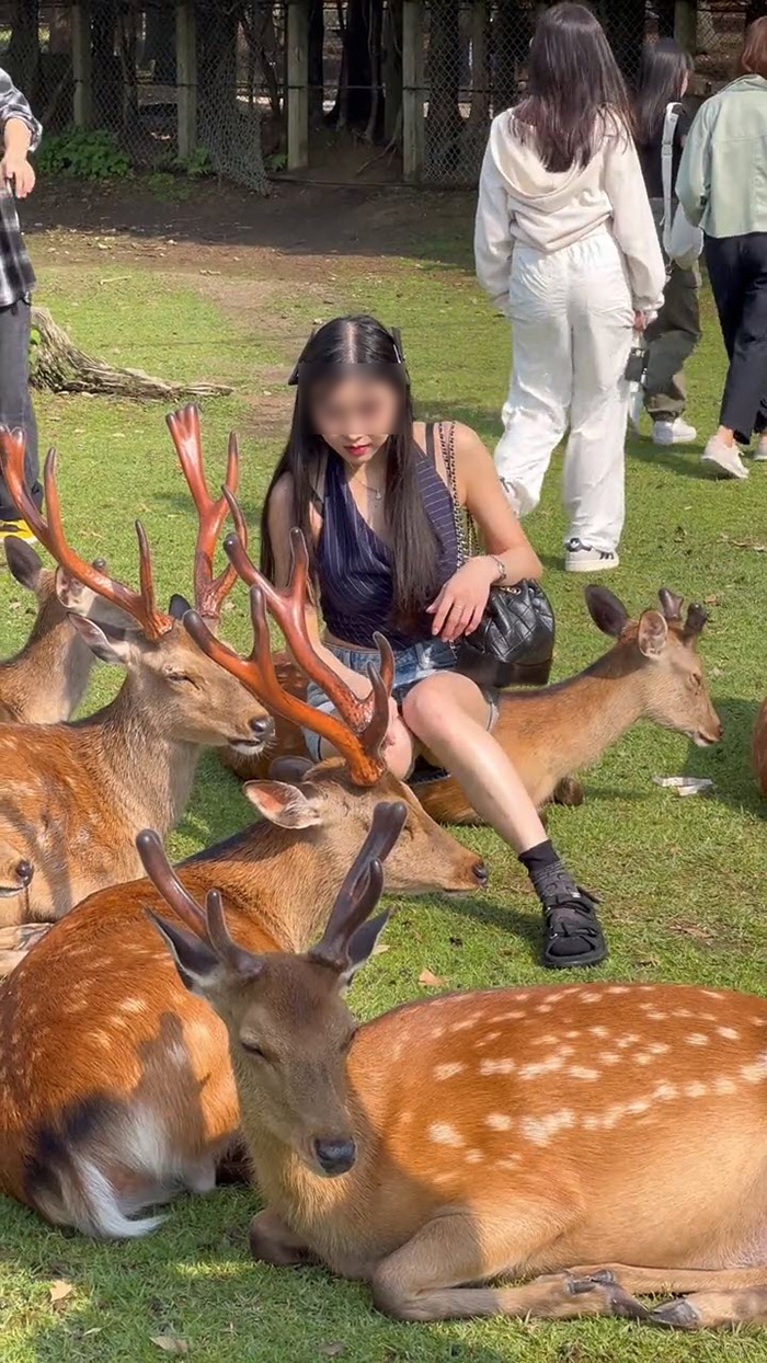 สาวสวยถ่ายรูปในสวน สาวสวยถ่ายรูปในสวน