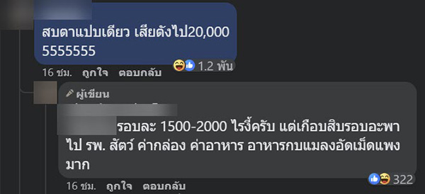 คอมเมนต์ คอมเมนต์