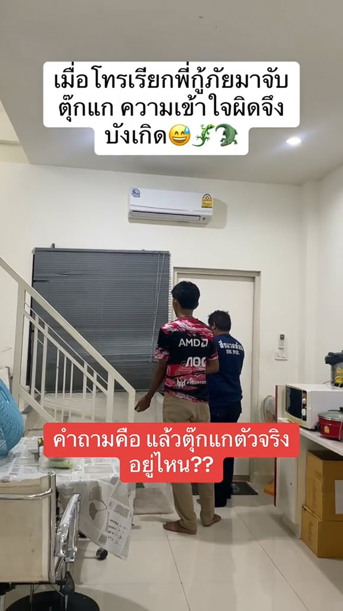 กู้ภัยมาบ้านช่วยจับตุ๊กแก กู้ภัยมาบ้านช่วยจับตุ๊กแก