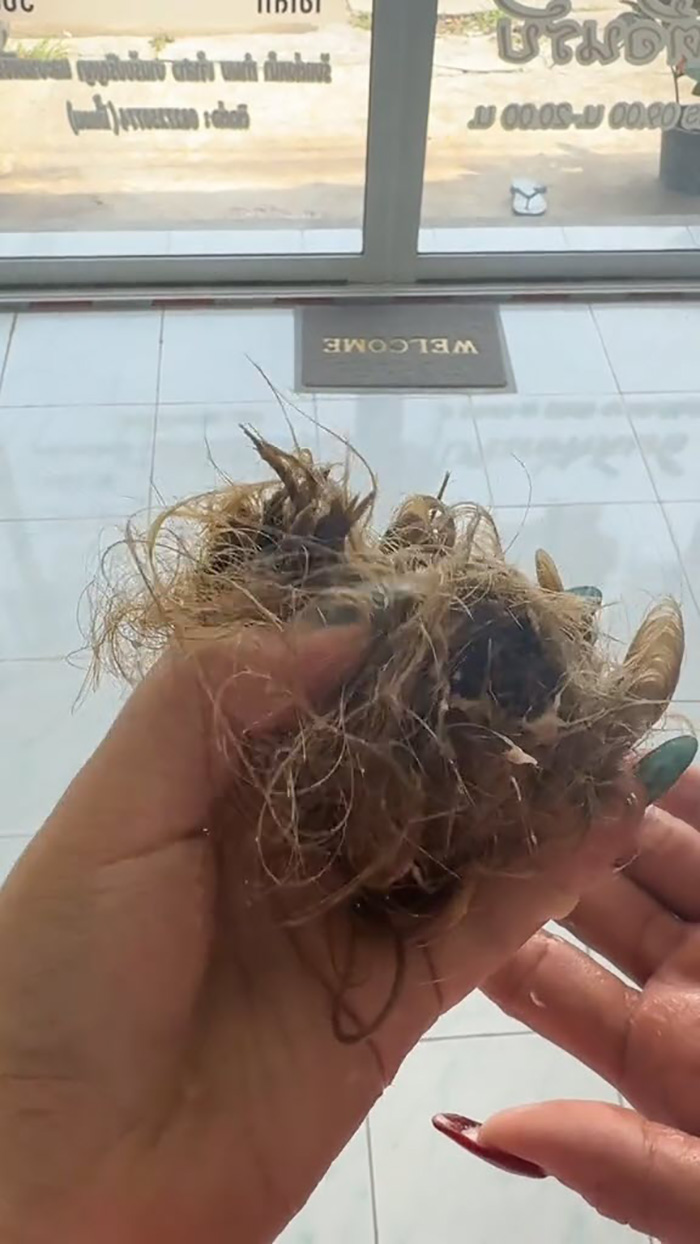 สาวร่ำไห้ ไปสระผมที่ร้าน ช่างทำผมพันกันหนักมาก สาวร่ำไห้ ไปสระผมที่ร้าน ช่างทำผมพันกันหนักมาก