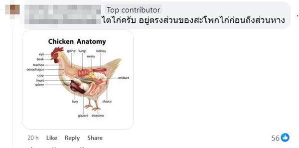 คอมเมนต์ คอมเมนต์