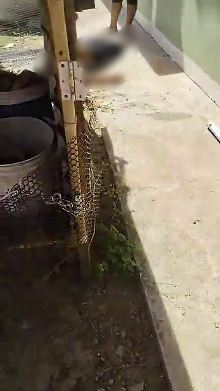 รวบแล้ว ชายวัย 80 ยิงคนดับ 1 ศพ บาดเจ็บอีกราย รวบแล้ว ชายวัย 80 ยิงคนดับ 1 ศพ บาดเจ็บอีกราย