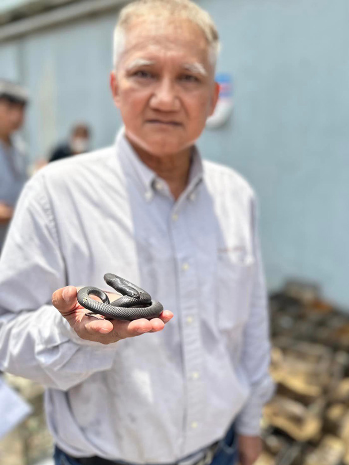 อธิบายปรากกฏการณ์ งูกัดตัวเองตายหมู่ อธิบายปรากกฏการณ์ งูกัดตัวเองตายหมู่