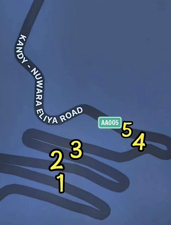 ไวรัลหนุ่มขายดอกไม้ในศรีลังกา ไวรัลหนุ่มขายดอกไม้ในศรีลังกา