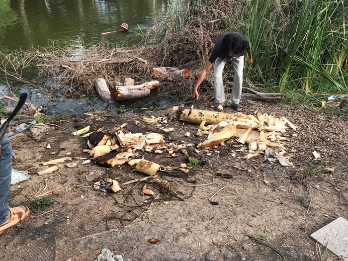 หมอปลาย ขอโทษดราม่าปล่อยจระเข้ หมอปลาย ขอโทษดราม่าปล่อยจระเข้