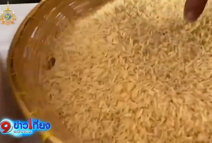 ผลตรวจข้าว 10 ปีออกแล้ว ผลตรวจข้าว 10 ปีออกแล้ว