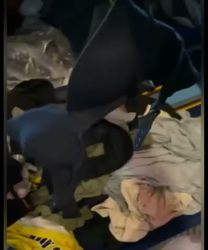 พลทหารรีวิวทำงานในบ้านนาย พลทหารรีวิวทำงานในบ้านนาย