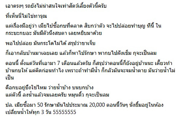 โพสต์ โพสต์