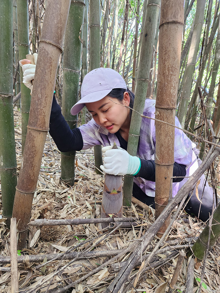 ซอฮยอน ซอฮยอน