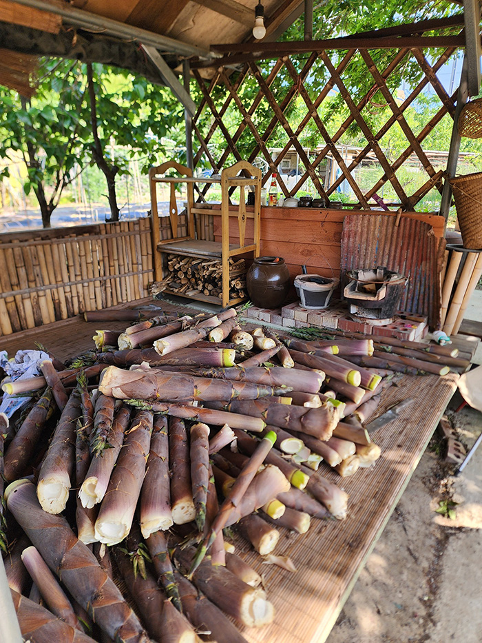 หน่อไม้ หน่อไม้