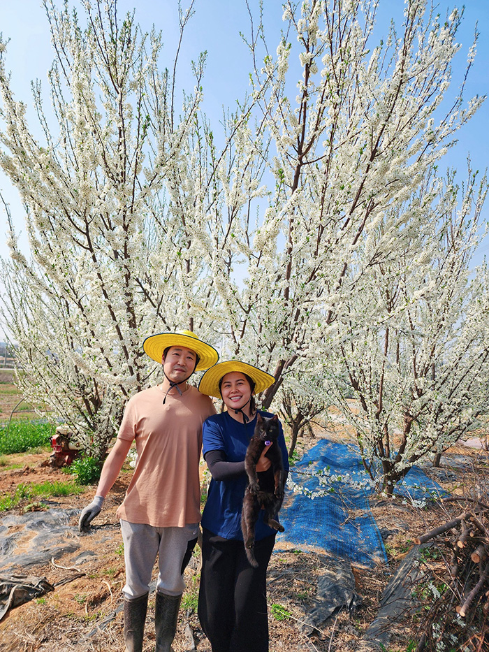 ซอฮยอน ซอฮยอน