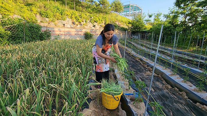 ซอฮยอน ซอฮยอน