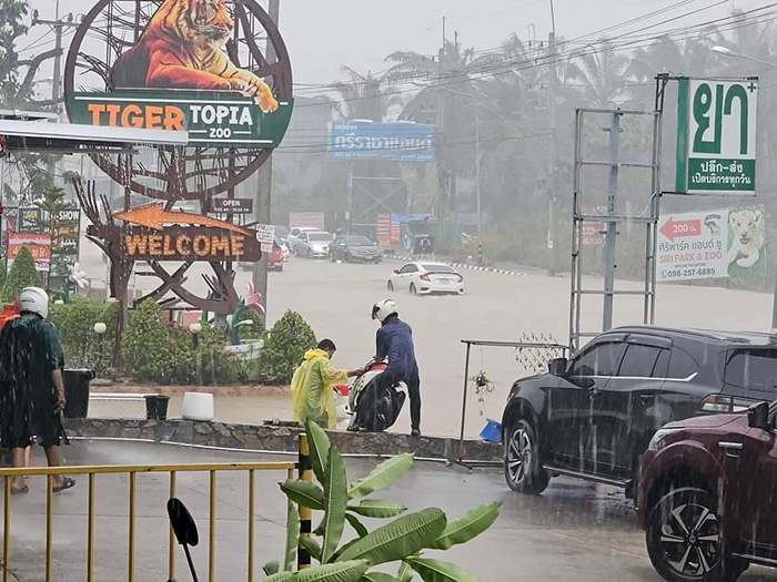 พายุฤดูร้อนถล่ม พายุฤดูร้อนถล่ม