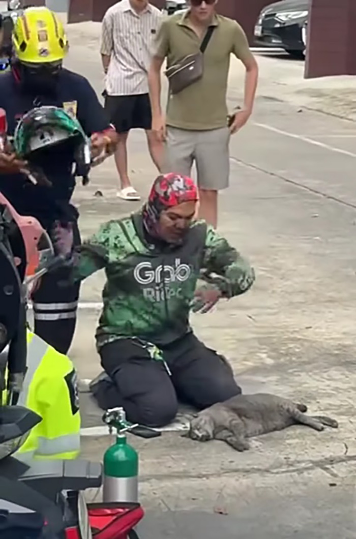 ไวรัลไรเดอร์หนุ่มฝ่าควันไฟปั๊มหัวใจแมว ไวรัลไรเดอร์หนุ่มฝ่าควันไฟปั๊มหัวใจแมว