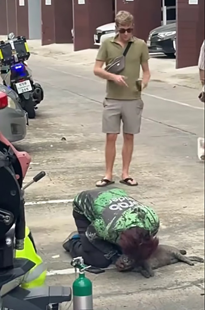 ไวรัลไรเดอร์หนุ่มฝ่าควันไฟปั๊มหัวใจแมว ไวรัลไรเดอร์หนุ่มฝ่าควันไฟปั๊มหัวใจแมว