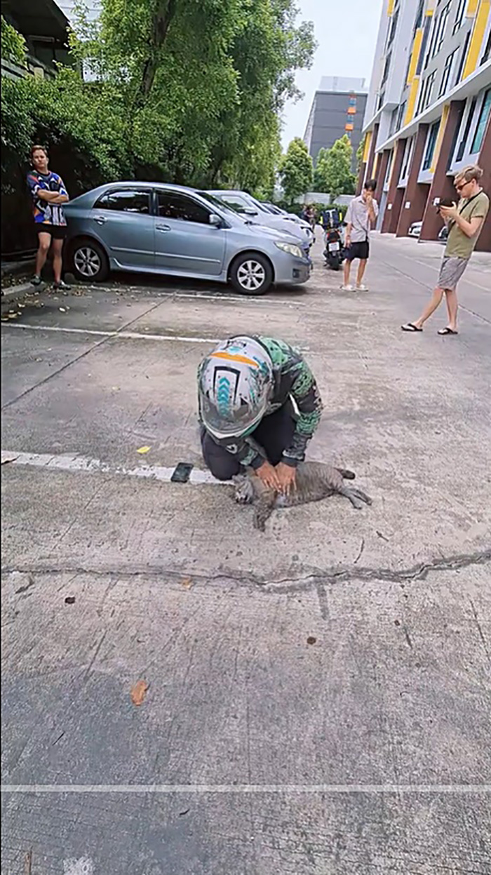 ไวรัลไรเดอร์หนุ่มฝ่าควันไฟปั๊มหัวใจแมว ไวรัลไรเดอร์หนุ่มฝ่าควันไฟปั๊มหัวใจแมว