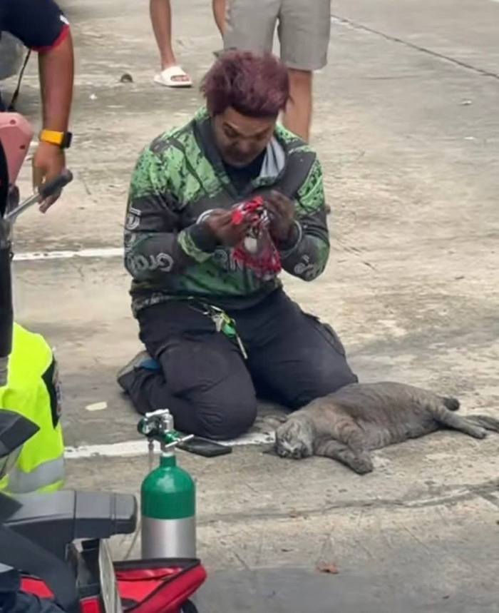 ไวรัลไรเดอร์หนุ่มฝ่าควันไฟปั๊มหัวใจแมว ไวรัลไรเดอร์หนุ่มฝ่าควันไฟปั๊มหัวใจแมว