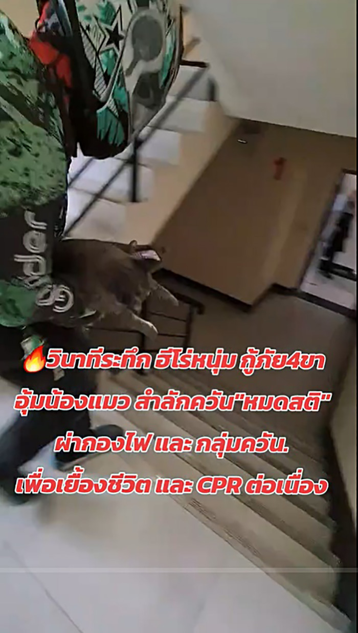 ไวรัลไรเดอร์หนุ่มฝ่าควันไฟปั๊มหัวใจแมว ไวรัลไรเดอร์หนุ่มฝ่าควันไฟปั๊มหัวใจแมว