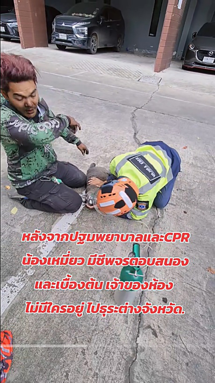 ไวรัลไรเดอร์หนุ่มฝ่าควันไฟปั๊มหัวใจแมว ไวรัลไรเดอร์หนุ่มฝ่าควันไฟปั๊มหัวใจแมว