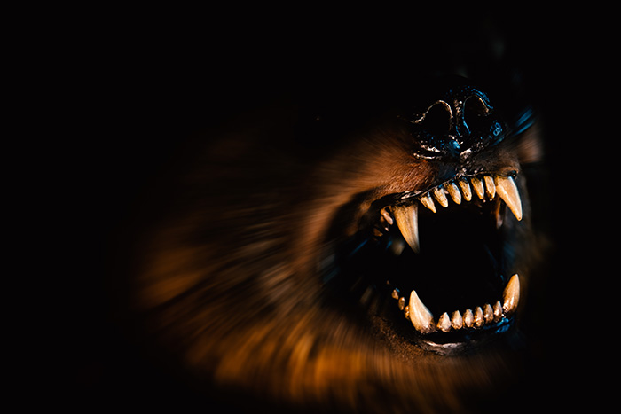 สรุปที่มา ขอนแก่น พบวัวติดเชื้อพิษสุนัขบ้า สรุปที่มา ขอนแก่น พบวัวติดเชื้อพิษสุนัขบ้า