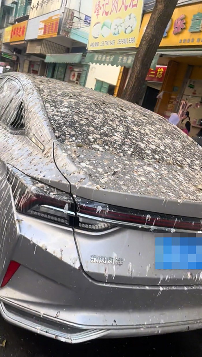 หนุ่มขับรถมาเที่ยว จอดรถทิ้งไว้ 3 คัน หนุ่มขับรถมาเที่ยว จอดรถทิ้งไว้ 3 คัน