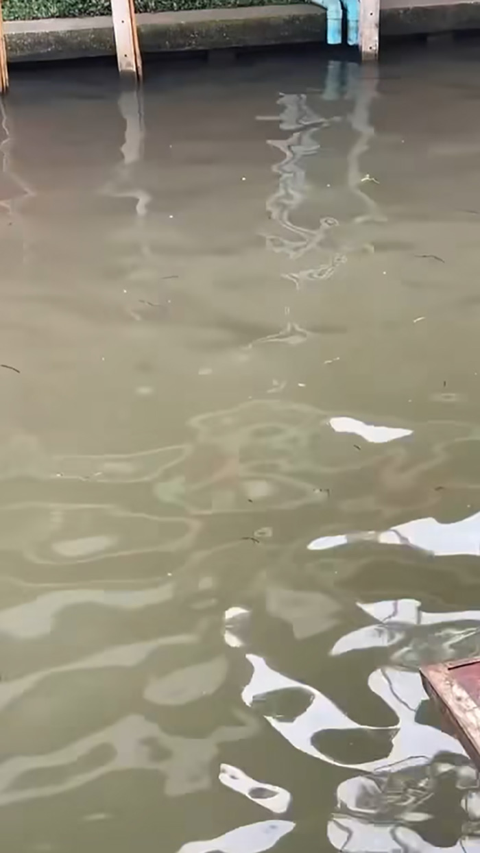 ต่างชาติอึ้ง เที่ยวตลาดน้ำเจอร้านค้า ล้างกระทะในคลอง ต่างชาติอึ้ง เที่ยวตลาดน้ำเจอร้านค้า ล้างกระทะในคลอง