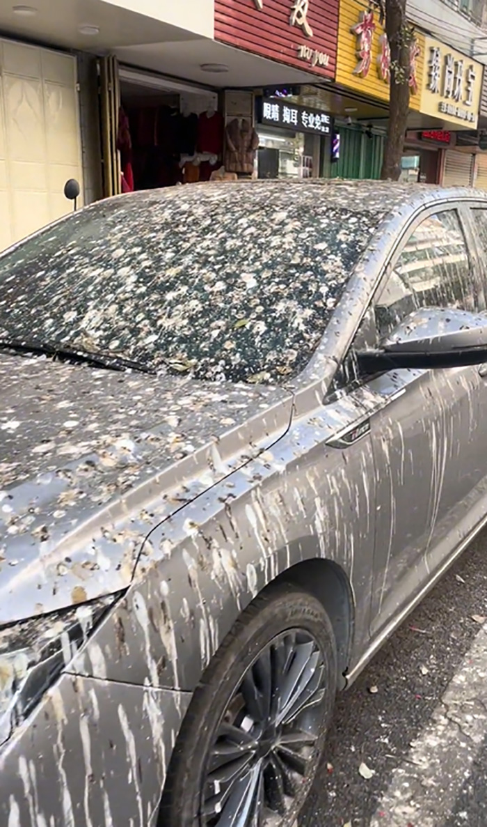 หนุ่มขับรถมาเที่ยว จอดรถทิ้งไว้ 3 คัน หนุ่มขับรถมาเที่ยว จอดรถทิ้งไว้ 3 คัน