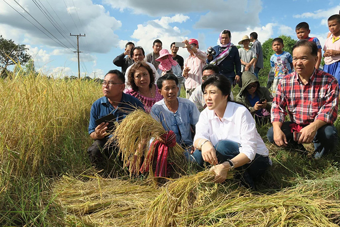 ยิ่งลักษณ์ เปิดใจหลังศาลสั่งชดใช้หมื่นล้าน คดีจำนำข้าว ยิ่งลักษณ์ เปิดใจหลังศาลสั่งชดใช้หมื่นล้าน คดีจำนำข้าว