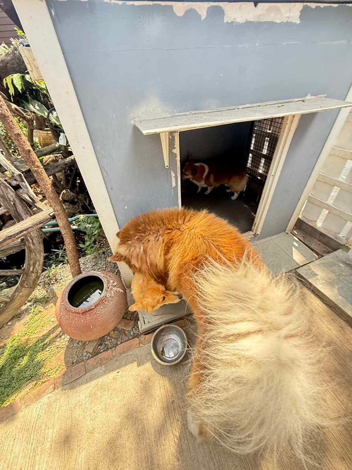 สาวผวา เพื่อนบ้านส่งจดหมายขู่ สาวผวา เพื่อนบ้านส่งจดหมายขู่