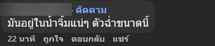 สาวเลือกลูกชิ้นปิ้ง เกือบหยิบแล้วแต่ตาไว สาวเลือกลูกชิ้นปิ้ง เกือบหยิบแล้วแต่ตาไว