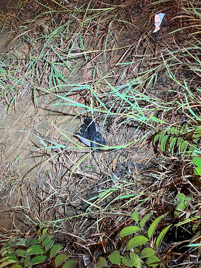 บอล One Day Trip ไบเกอร์เพจดัง ประสบอุบัติเหตุเสียชีวิต บอล One Day Trip ไบเกอร์เพจดัง ประสบอุบัติเหตุเสียชีวิต