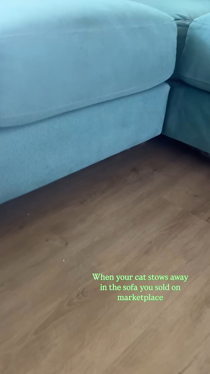 ขายโซฟาออนไลน์ กลายเป็นเรื่องสุดพีค ขายโซฟาออนไลน์ กลายเป็นเรื่องสุดพีค