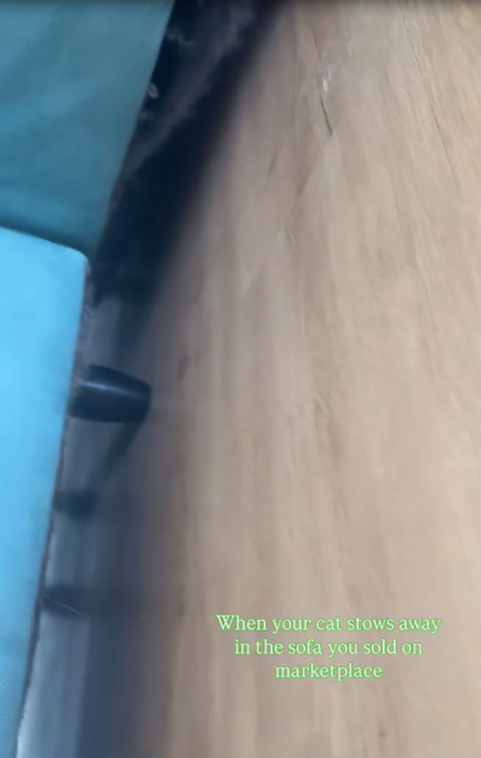 ขายโซฟาออนไลน์ กลายเป็นเรื่องสุดพีค ขายโซฟาออนไลน์ กลายเป็นเรื่องสุดพีค