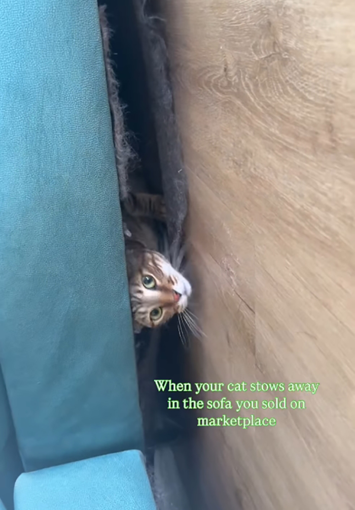 ขายโซฟาออนไลน์ กลายเป็นเรื่องสุดพีค ขายโซฟาออนไลน์ กลายเป็นเรื่องสุดพีค