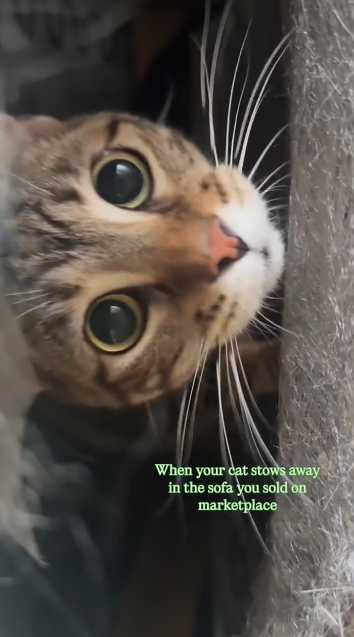 ขายโซฟาออนไลน์ กลายเป็นเรื่องสุดพีค ขายโซฟาออนไลน์ กลายเป็นเรื่องสุดพีค